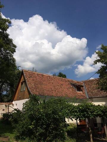 Фото Загородные дома Dominic Boutique - Casa Mare г. Cloaşterf 1