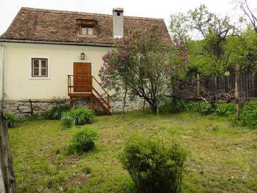 Фото номера Апартаменты с видом на сад Загородные дома Dominic Boutique - Casa Mare г. Cloaşterf 19